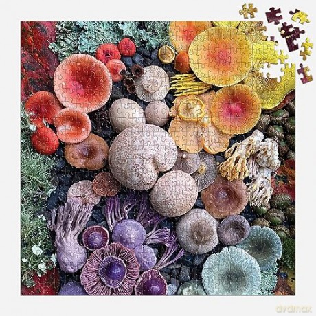 Galison 9780735374959 Shrooms in Bloom Jigsaw Puzzle, Multicoloured, 500 Pieces - Galison [PUZZLE]