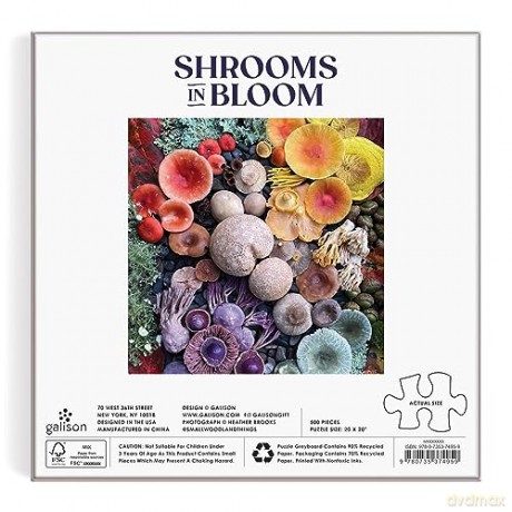 Galison 9780735374959 Shrooms in Bloom Jigsaw Puzzle, Multicoloured, 500 Pieces - Galison [PUZZLE]