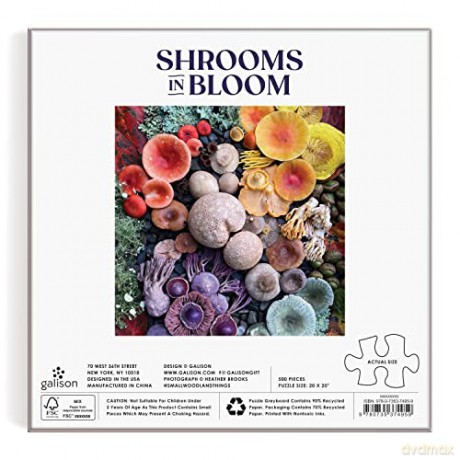 Galison 9780735374959 Shrooms in Bloom Jigsaw Puzzle, Multicoloured, 500 Pieces - Galison [PUZZLE]