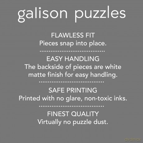 Galison 9780735375284 Jigsaw Puzzle - Galison [PUZZLE]