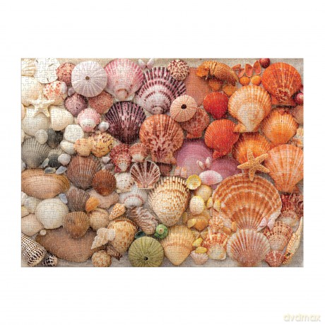 Galison Vibrant Seashells - 1000 Piece Puzzle Featuring Chromatic Seashell Arrangement On Sand - Galison [PUZZLE]