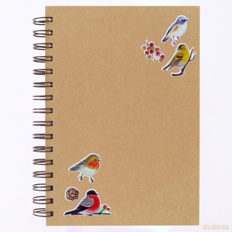 Garden Bird Stickers for Children, Kids, Toddlers, Adults - Scrapbook Craft Decorating Activities and Party Bag Filler Favours - Fun Cool Cute Sticker Pack for Boys Girls [KSIĄŻKA]