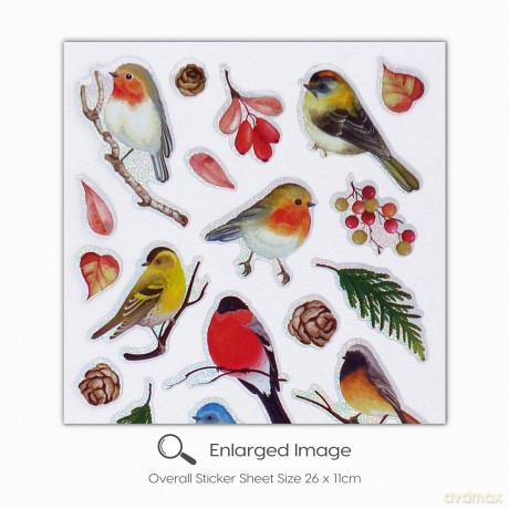 Garden Bird Stickers for Children, Kids, Toddlers, Adults - Scrapbook Craft Decorating Activities and Party Bag Filler Favours - Fun Cool Cute Sticker Pack for Boys Girls [KSIĄŻKA]