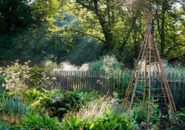 Garden Fresh, 100 Postcards: A Medley of Vegetables and Fruit from Award-Winning Photographer Rob Cardillo - Rob Cardillo [KSIĄŻKA]