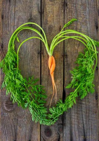 Garden Fresh, 100 Postcards: A Medley of Vegetables and Fruit from Award-Winning Photographer Rob Cardillo - Rob Cardillo [KSIĄŻKA]