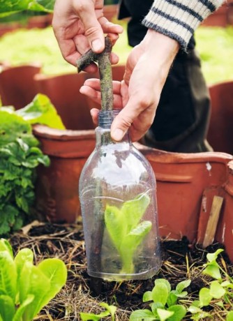 Garden Hacks: 70 smart, sustainable tips for gardeners - Filip Johansson [KSIĄŻKA]
