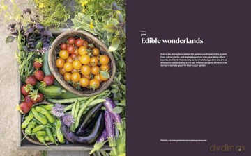 Garden Wonderland: Create Life-Changing Outdoor Spaces for Beauty, Harvest, Meaning, and Joy - Leslie Bennett [KSIĄŻKA]