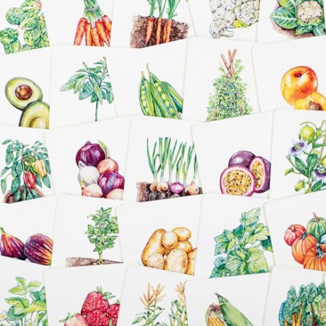 Gardener's Match: A Fruit and Vegetable Memory Game - Abigail Willis [KSIĄŻKA]