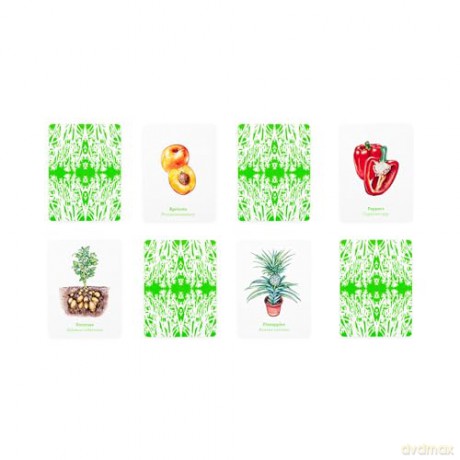 Gardener's Match: A Fruit and Vegetable Memory Game - Abigail Willis [KSIĄŻKA]