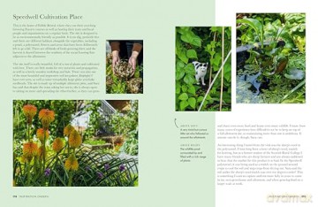 Gardeners' World: A Year in a Small Garden: Creating a Beautiful Garden in Any Space - Frances Tophill [KSIĄŻKA]