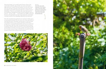 Gardeners' World: A Year in a Small Garden: Creating a Beautiful Garden in Any Space - Frances Tophill [KSIĄŻKA]