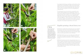 Gardeners' World: A Year in a Small Garden: Creating a Beautiful Garden in Any Space - Frances Tophill [KSIĄŻKA]