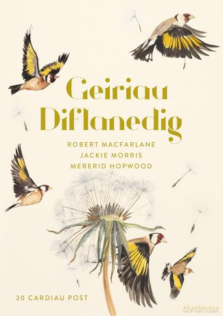 Geiriau Diflanedig 20 Carden Post - Jackie Morris [KSIĄŻKA]