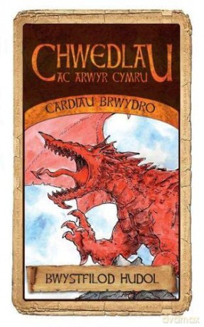 Gem Gardiau Chwedlau Cymru Bwystfilod - Huw Aaron [KSIĄŻKA]