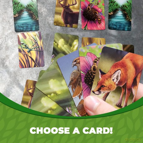 Genius Games - 74568 Ecosystem Ecology Board Game - Educational Wildlife Nature Biology Animal Food Chain Habitat - Stem - Science [KSIĄŻKA]