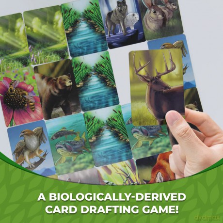 Genius Games - 74568 Ecosystem Ecology Board Game - Educational Wildlife Nature Biology Animal Food Chain Habitat - Stem - Science [KSIĄŻKA]
