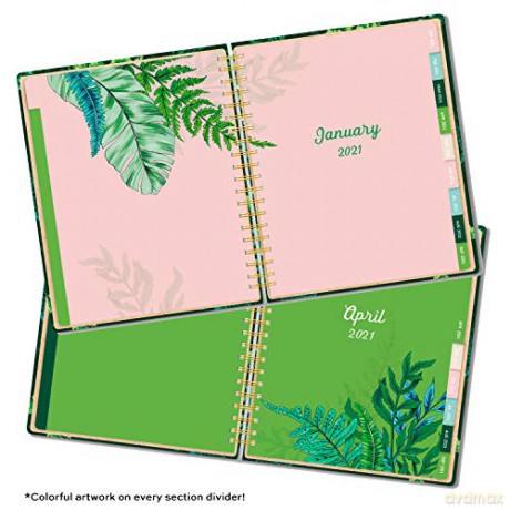 Geometric Tropical Triangles 2021 Planner [KSIĄŻKA]