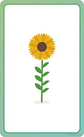 German for Everyone Junior First Words Flash Cards - Dk [KSIĄŻKA]