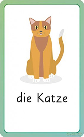 German for Everyone Junior First Words Flash Cards - Dk [KSIĄŻKA]