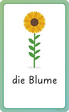 German for Everyone Junior First Words Flash Cards - Dk [KSIĄŻKA]