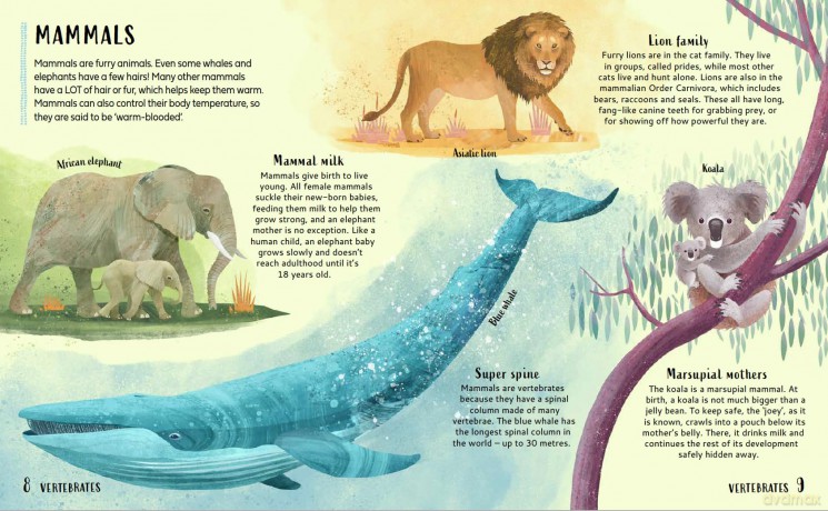 Get Your Animals in Order: Classifying the Animal World - Michael Bright [KSIĄŻKA]