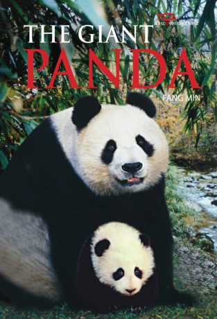 Giant Panda (Discovering China) - Min Fang [KSIĄŻKA]
