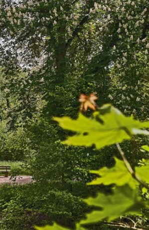 Goethes Gartenhaus (Im Fokus) - Klassik Stiftung Weimar [KSIĄŻKA]