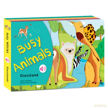 Grasslands: 2 (BUSY...BOOKS SERIES) - S&S Alliance [KSIĄŻKA]