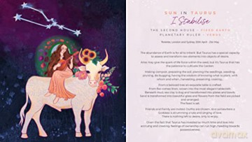 Gratitude Diary 2022 - Melanie Spears [KSIĄŻKA]