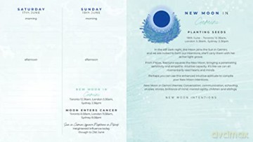 Gratitude Diary 2022 - Melanie Spears [KSIĄŻKA]