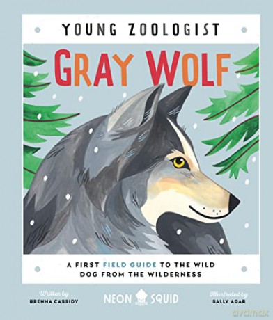Gray Wolf (Young Zoologist): A First Field Guide to the Wild Dog from the Wilderness - Brenna Cassidy [KSIĄŻKA]