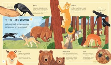 Gray Wolf (Young Zoologist): A First Field Guide to the Wild Dog from the Wilderness - Brenna Cassidy [KSIĄŻKA]