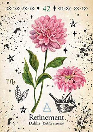 Green Witch Oracle Cards: Discover real secrets of Botanical Magick - Cheralyn Darcey [KSIĄŻKA]
