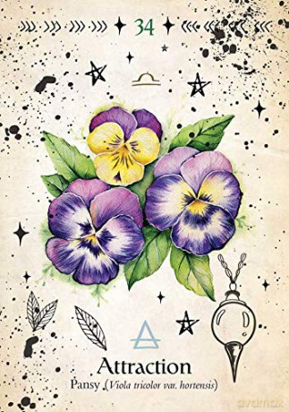 Green Witch Oracle Cards: Discover real secrets of Botanical Magick - Cheralyn Darcey [KSIĄŻKA]
