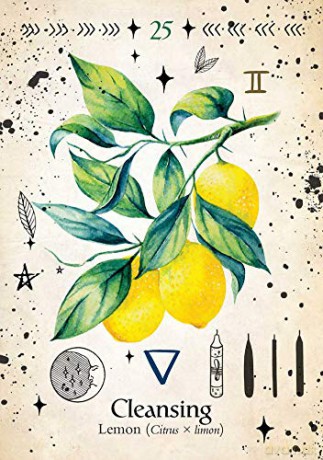 Green Witch Oracle Cards: Discover real secrets of Botanical Magick - Cheralyn Darcey [KSIĄŻKA]