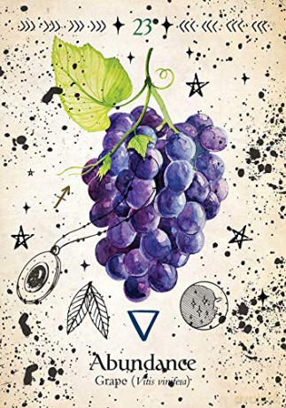 Green Witch Oracle Cards: Discover real secrets of Botanical Magick - Cheralyn Darcey [KSIĄŻKA]