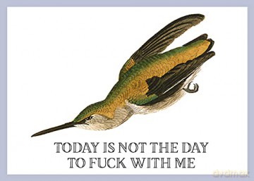 Greetings from Effin' Birds: 100 Tear-Out Postcards - Aaron Reynolds [KSIĄŻKA]