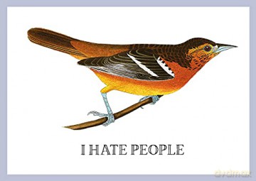 Greetings from Effin' Birds: 100 Tear-Out Postcards - Aaron Reynolds [KSIĄŻKA]