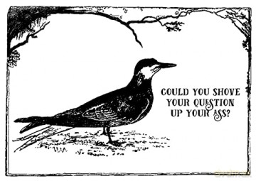 Greetings from Effin' Birds: 100 Tear-Out Postcards - Aaron Reynolds [KSIĄŻKA]