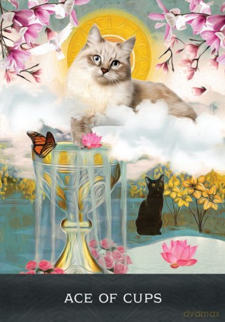 Grimalkin's Curious Cats Tarot: An 80-Card Deck and Guidebook - MJ Cullinane [KSIĄŻKA]