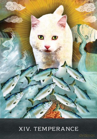 Grimalkin's Curious Cats Tarot: An 80-Card Deck and Guidebook - MJ Cullinane [KSIĄŻKA]