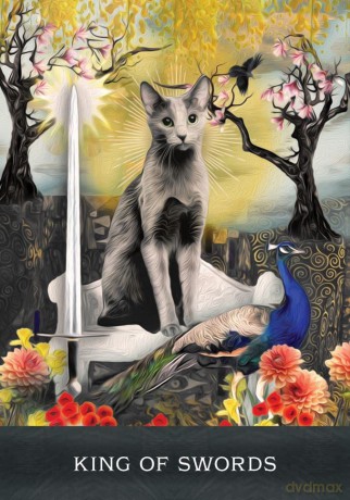 Grimalkin's Curious Cats Tarot: An 80-Card Deck and Guidebook - MJ Cullinane [KSIĄŻKA]