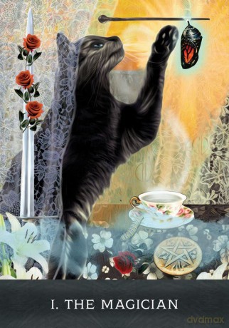 Grimalkin's Curious Cats Tarot: An 80-Card Deck and Guidebook - MJ Cullinane [KSIĄŻKA]