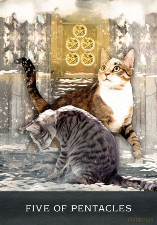 Grimalkin's Curious Cats Tarot: An 80-Card Deck and Guidebook - MJ Cullinane [KSIĄŻKA]