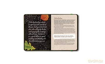 Grounded: A Guided Journal to Help You Reconnect with the Power of Nature-and Yourself - Patricia H. Hasbach [KSIĄŻKA]