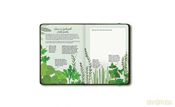 Grounded: A Guided Journal to Help You Reconnect with the Power of Nature-and Yourself - Patricia H. Hasbach [KSIĄŻKA]