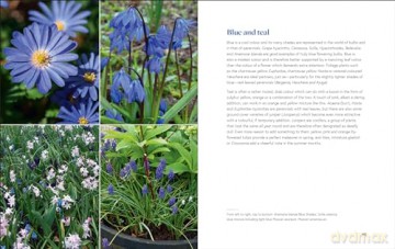 Growing Bulbs in the Natural Garden: Innovative Techniques for Combining Bulbs and Perennials in Every Season - Jacqueline van der Kloet [KSIĄŻKA]