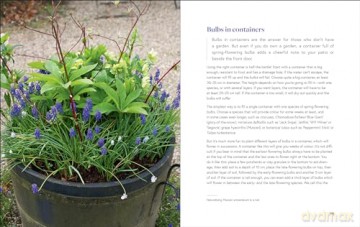 Growing Bulbs in the Natural Garden: Innovative Techniques for Combining Bulbs and Perennials in Every Season - Jacqueline van der Kloet [KSIĄŻKA]