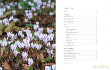 Growing Bulbs in the Natural Garden: Innovative Techniques for Combining Bulbs and Perennials in Every Season - Jacqueline van der Kloet [KSIĄŻKA]