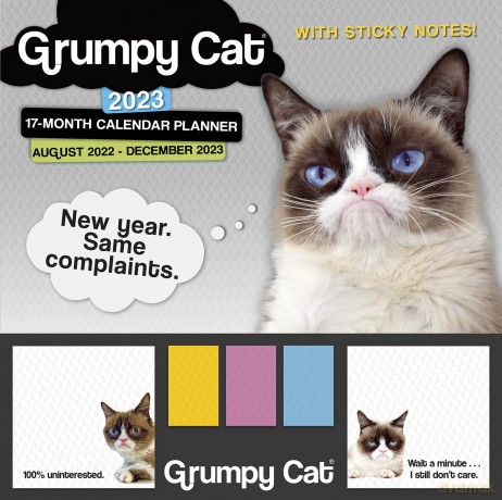 Grumpy Cat August 2022-December 2023 17-Month Planner: It's All Downhill from Here. (STICKY NOTE PLANNER) - Grumpy Cat Limitied [KSIĄŻKA]